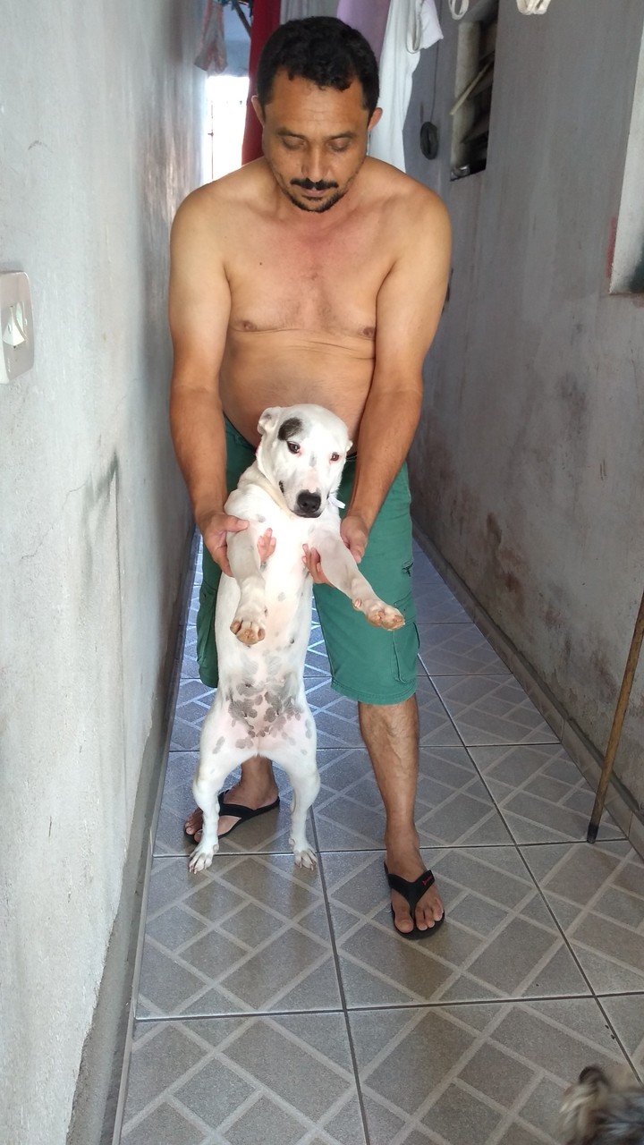 minha filha de quatro patas ?❤️LOLA