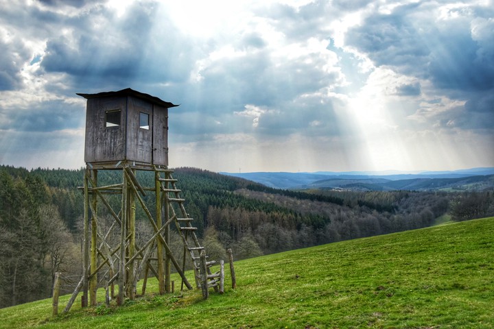 freedom