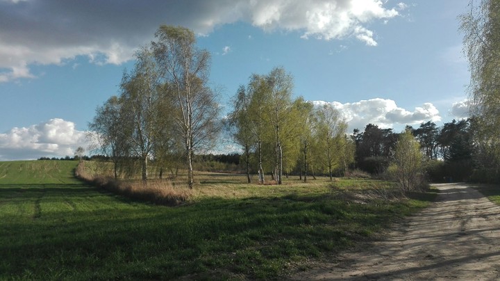 lost road