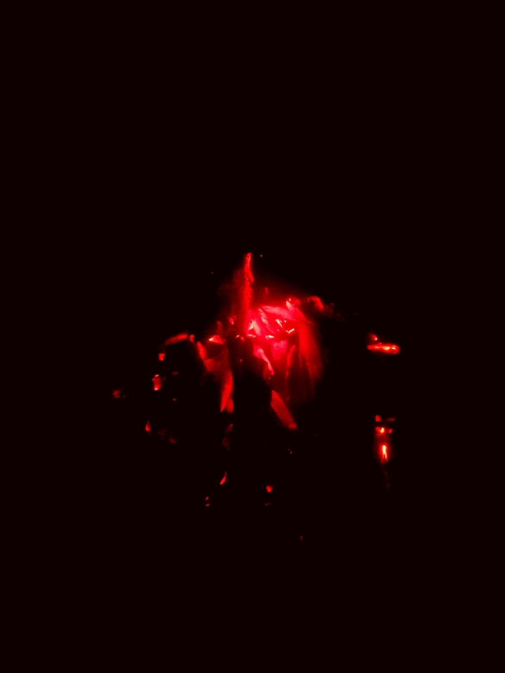 dead fire