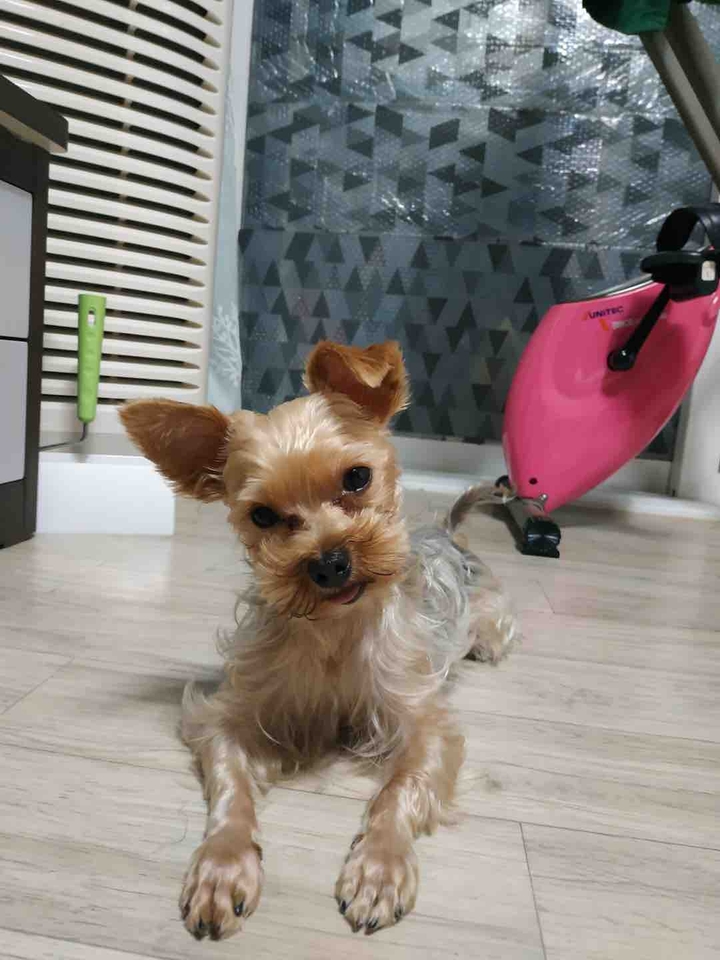 메롱