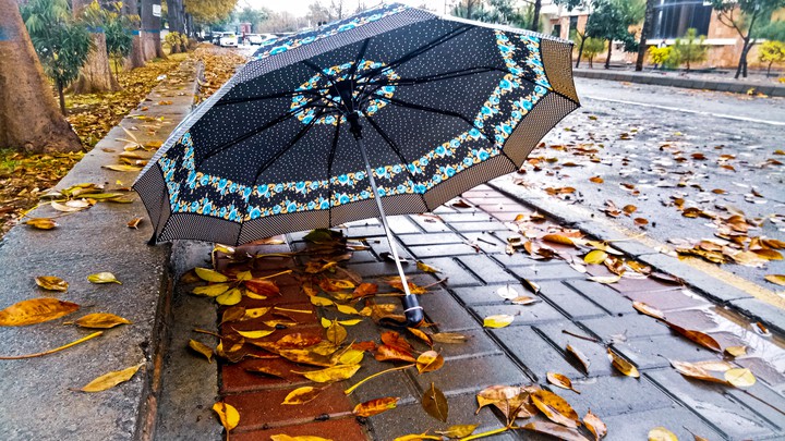 Rainy Day ☔