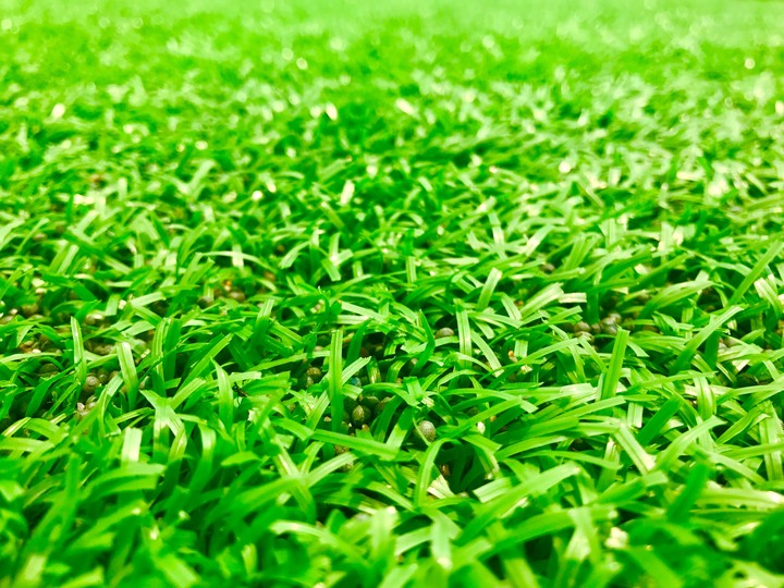 green grass