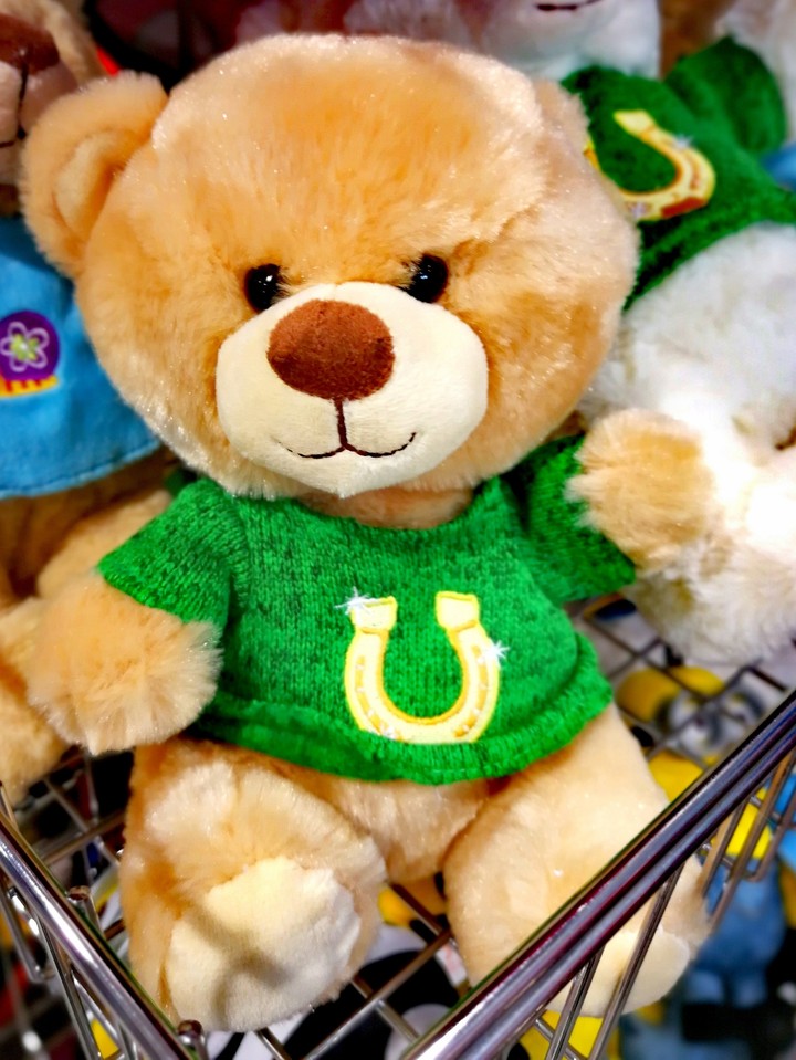 Teddybär