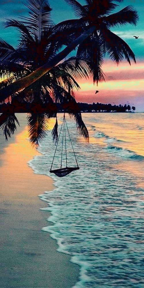 paradise