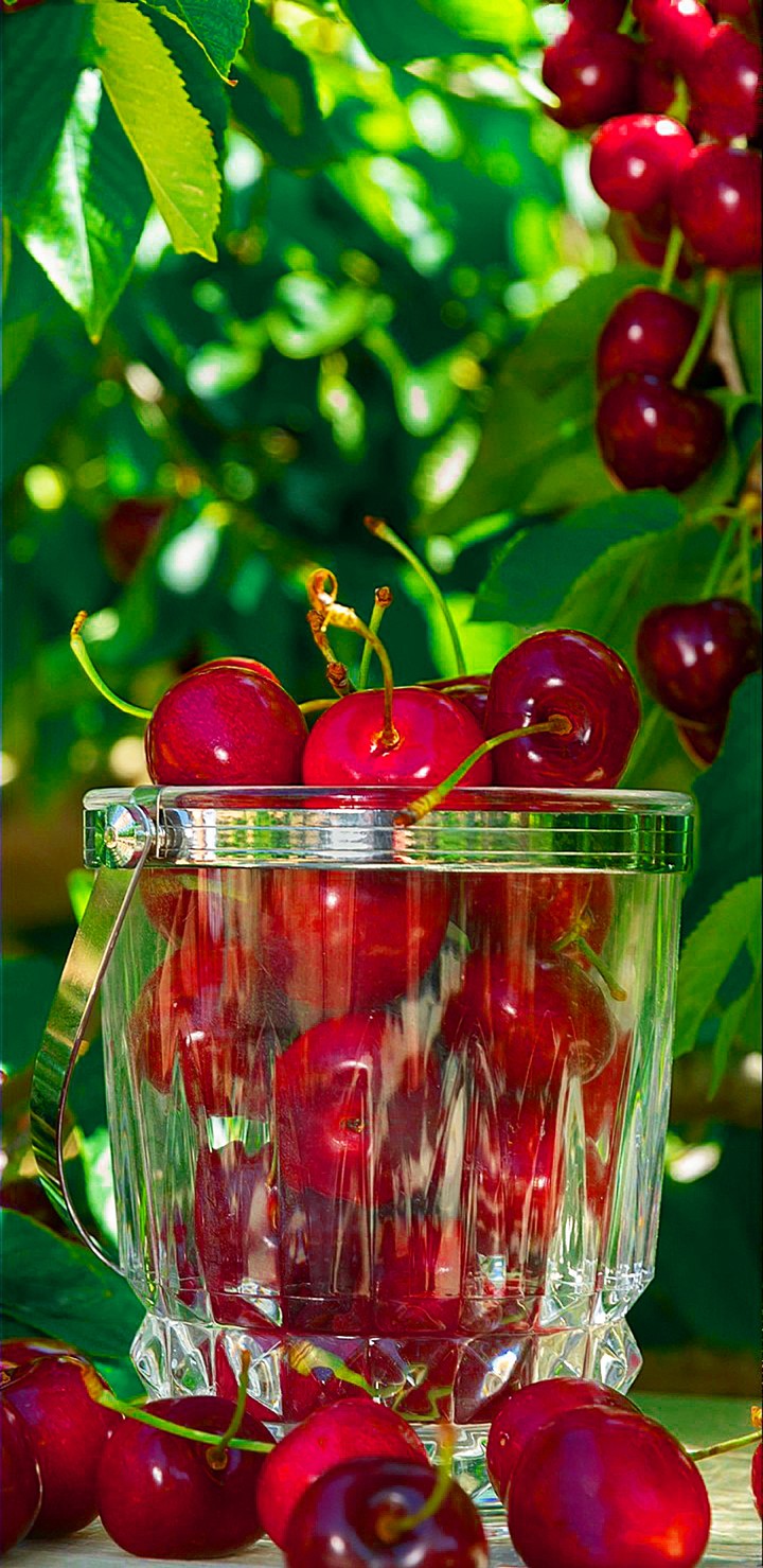 Cherry