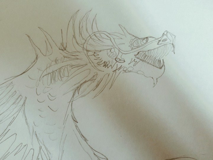 dragon