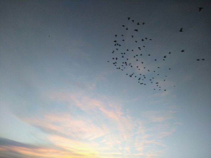 gün batımı✨