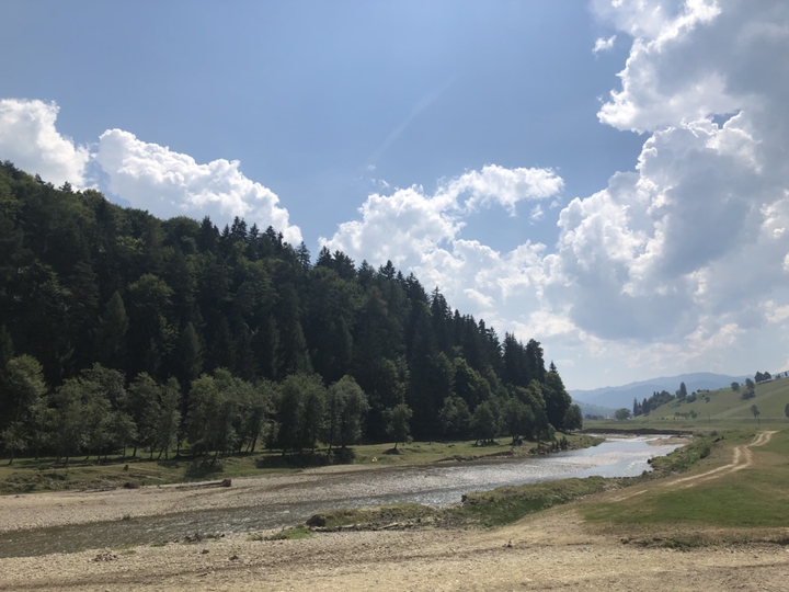 Rezervația de zimbri, Covasna