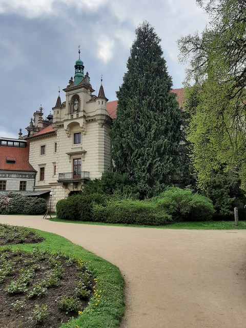 tapety hedge, park