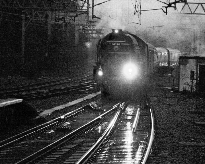 train