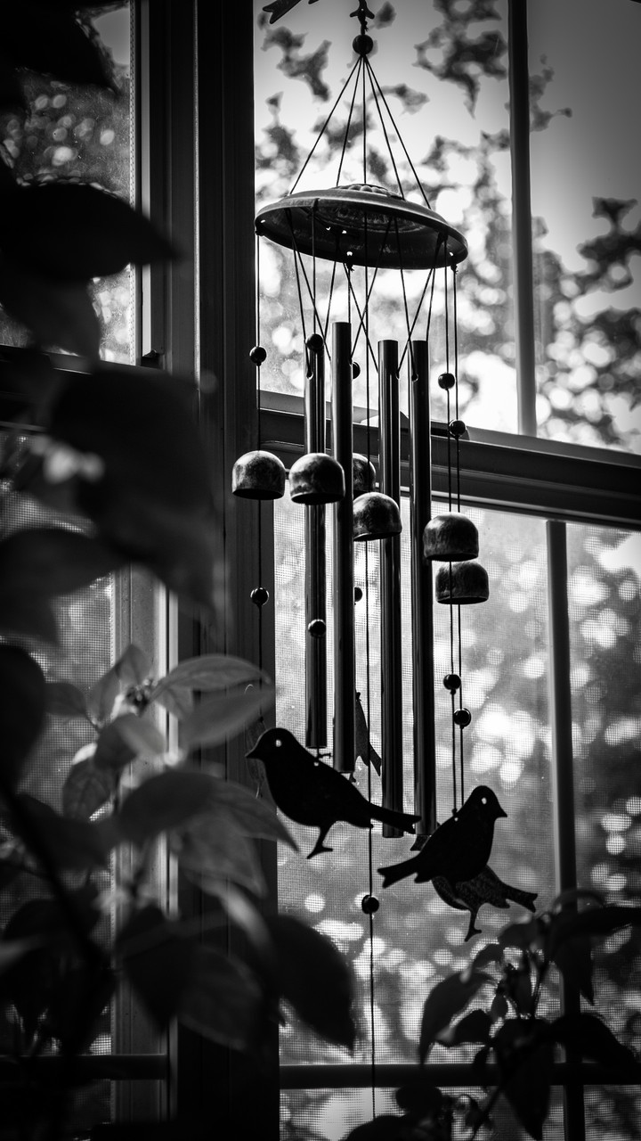 Wind chimes in black n white