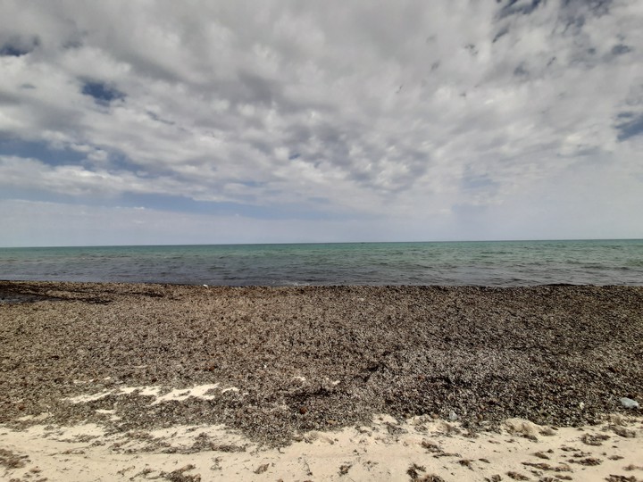 beatiful sea