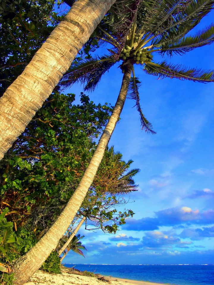 Paradise
