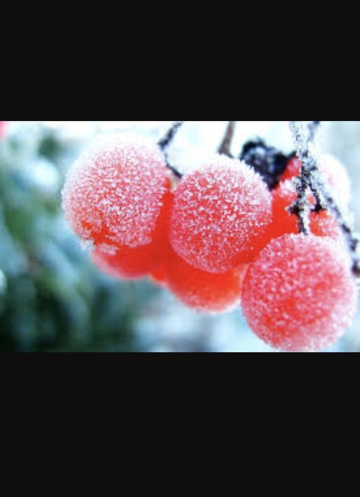 berries