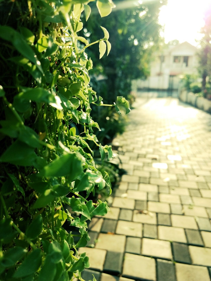 The path to salvation