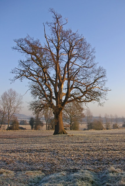 England in frost