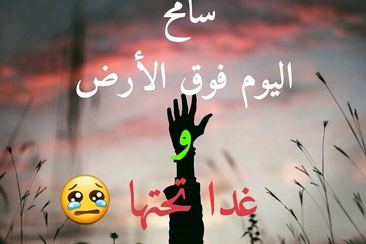 سامح