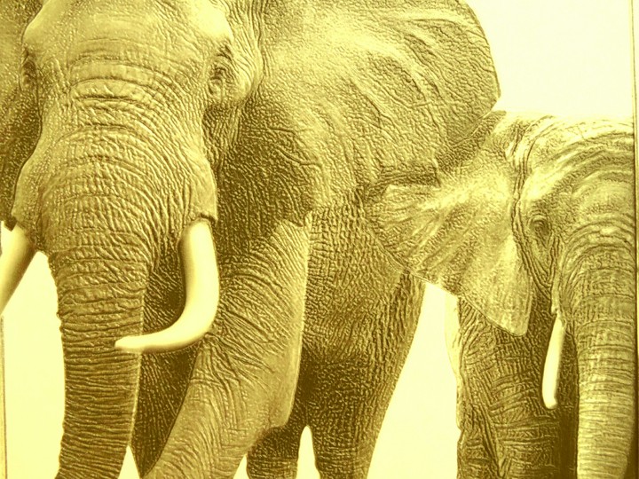 #Elephant #childish #yellow wash #wallpaper