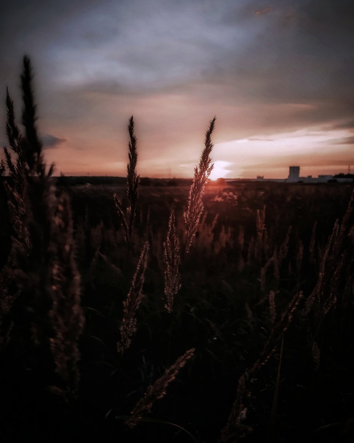 хлеба