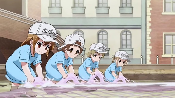 Cells at work !