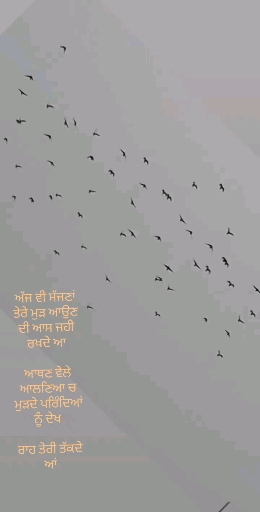 babbu