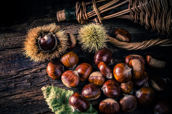 SPLENDID CHESTNUTS