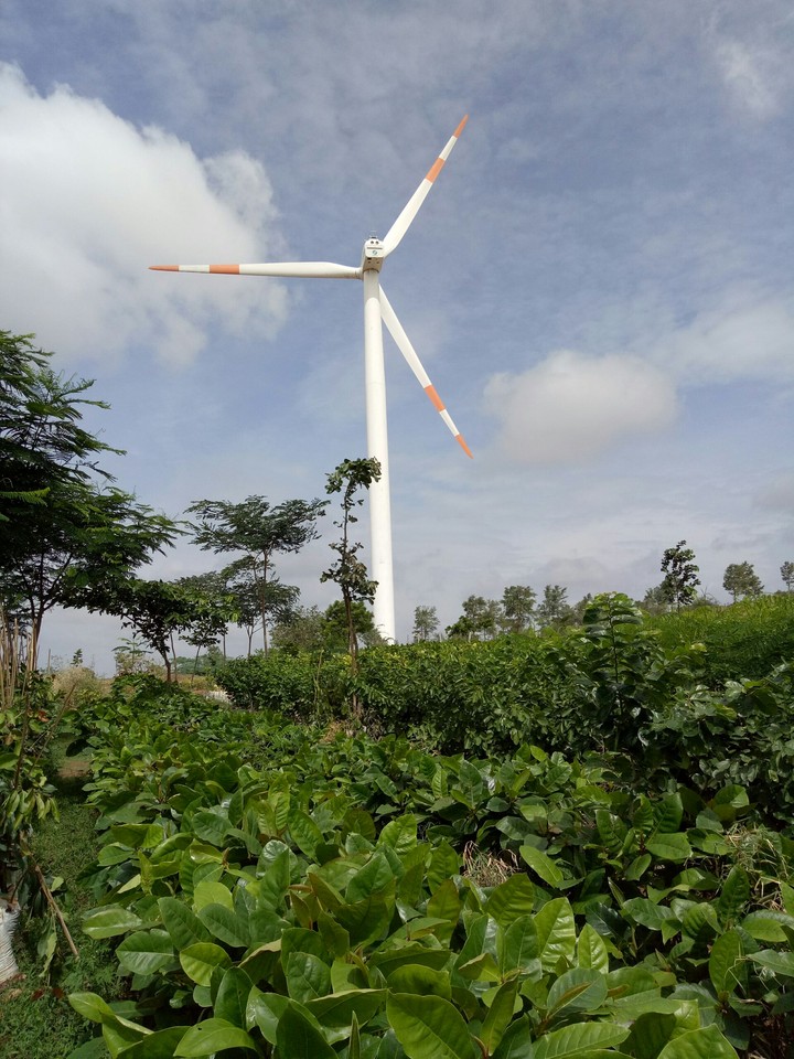 windmill