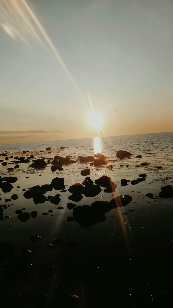 Meer