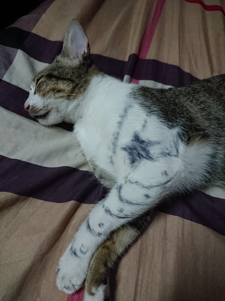bucky?