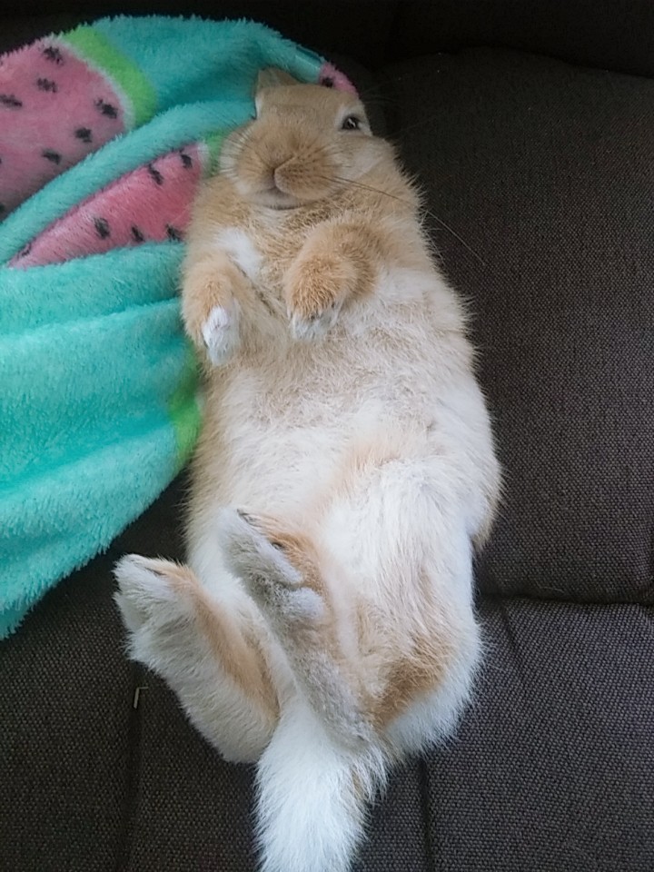 무편집