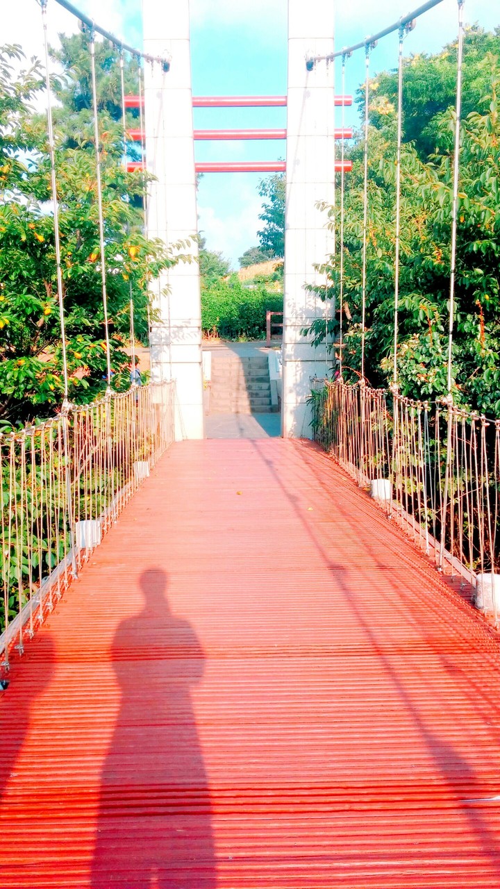 Bridge