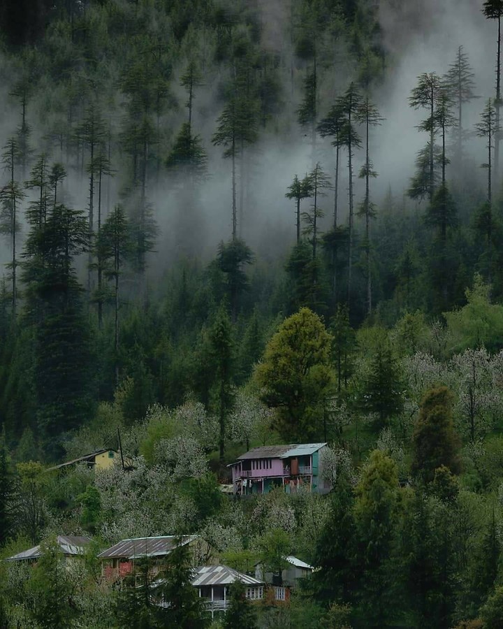 Dalhousie