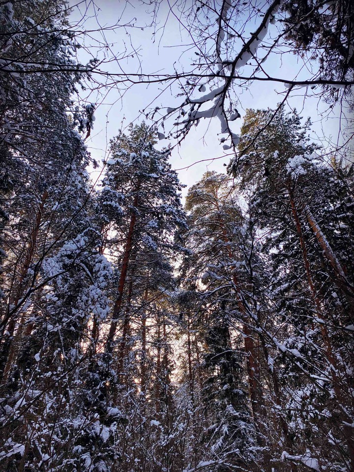 Winter