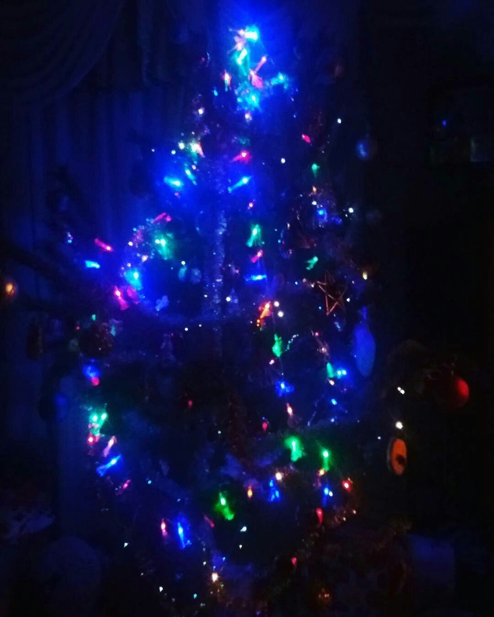 tree
