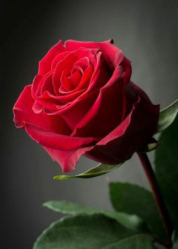♥