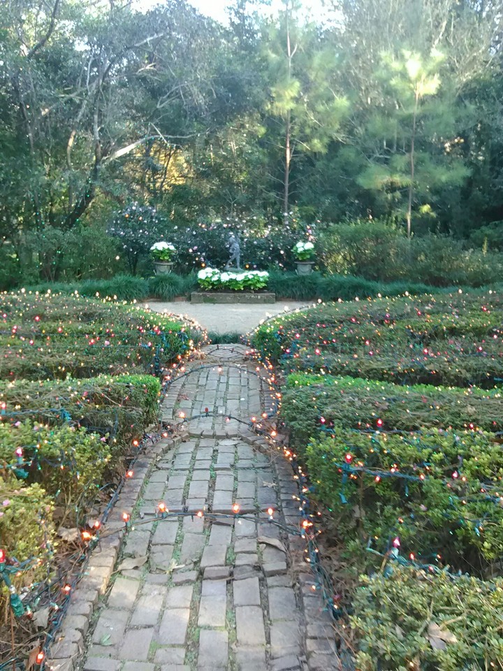 Light Garden
