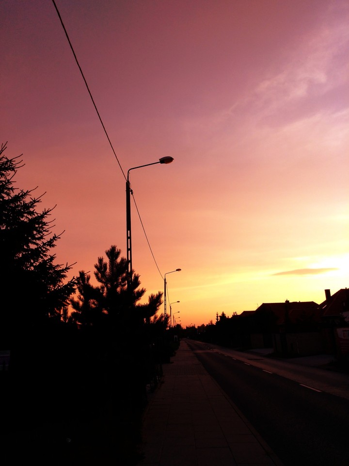 Pink sunset