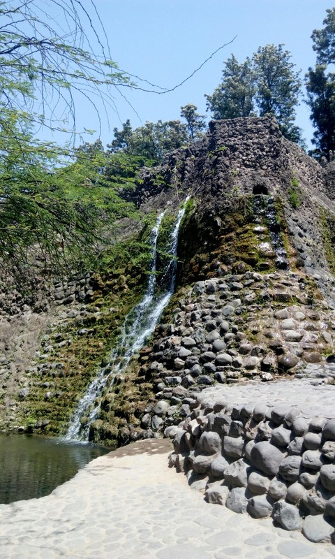 rock Garden