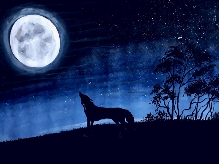 moon light