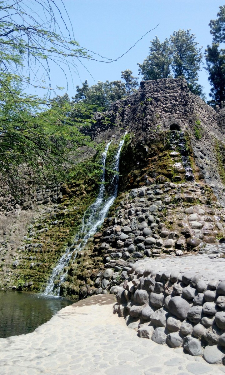 rock Garden