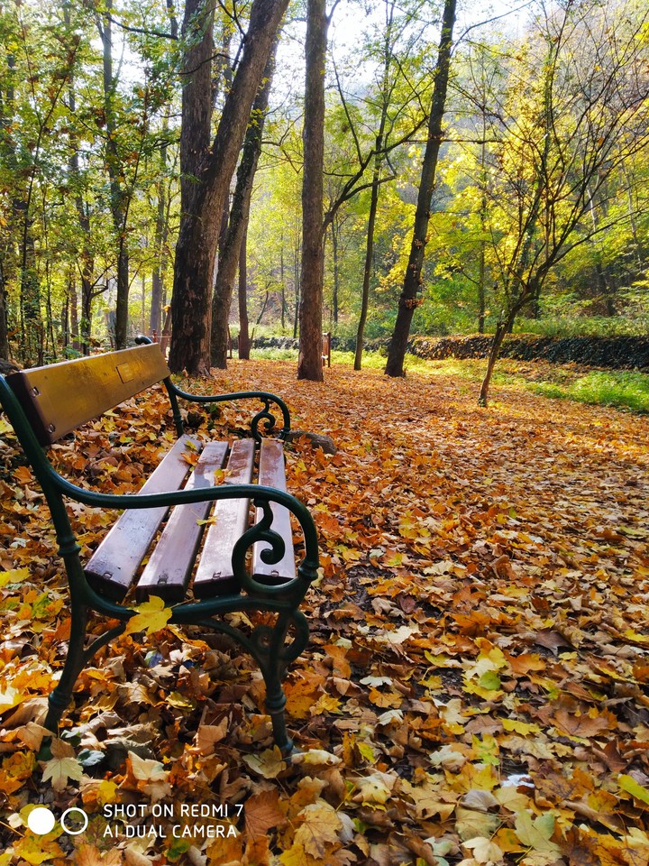park