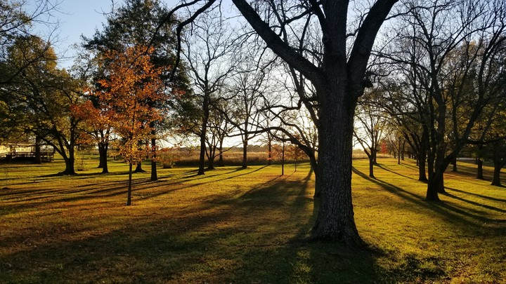 Long Shadows