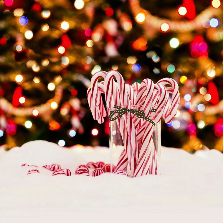 Candy Cane