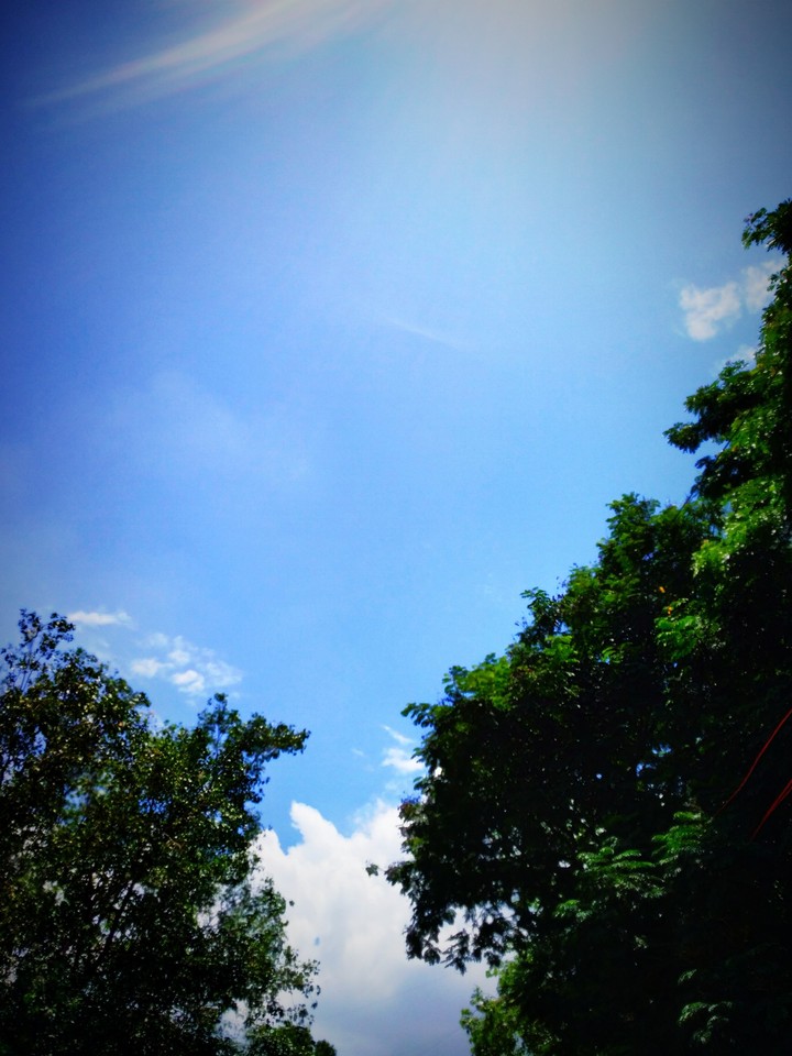 Sunny Sky