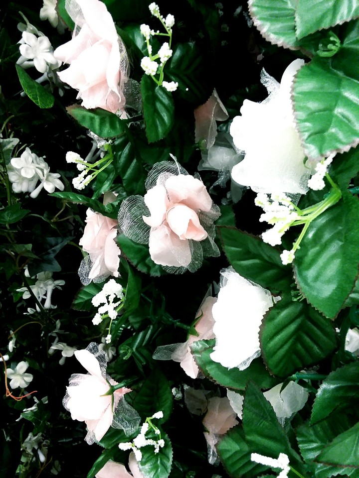 Happiness blooms from within