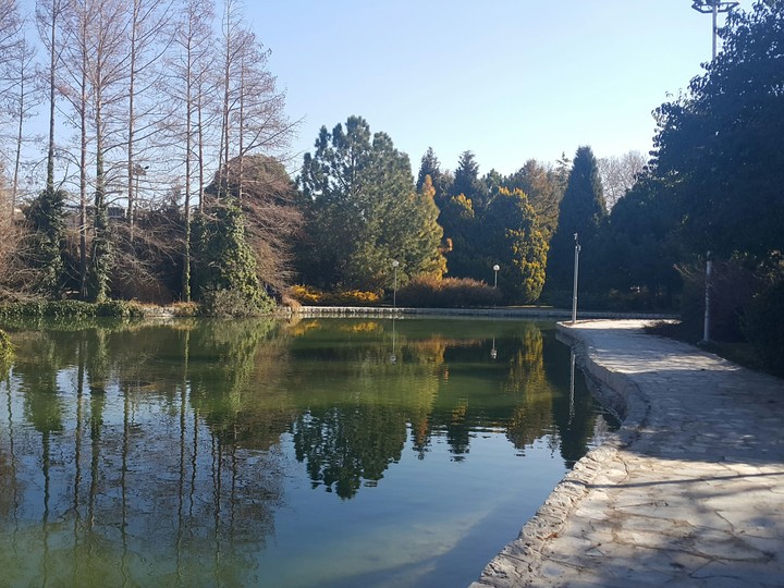 nature