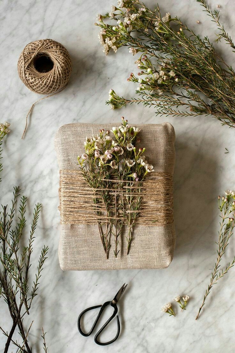 papéis de parede spring, plant