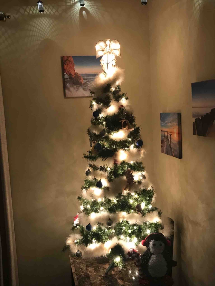 Quarantine Christmas 2020