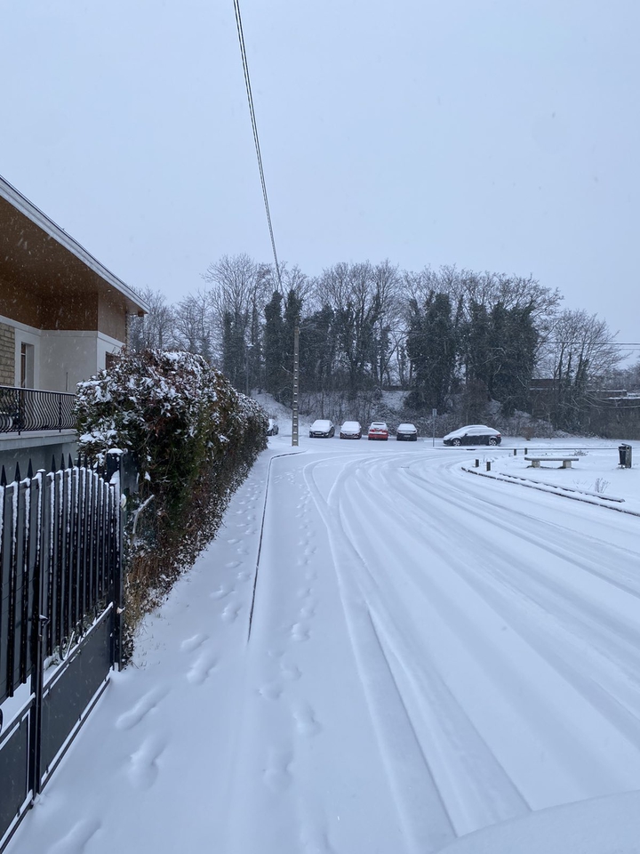 Snowy